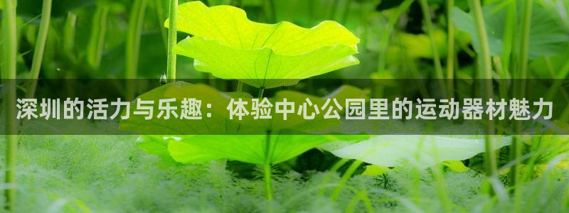 德国NG大舞台官方正版app集团