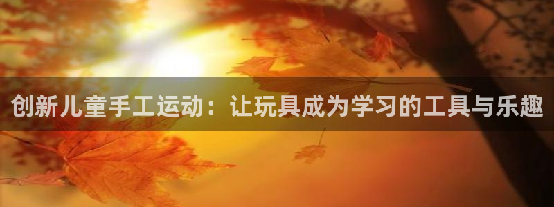 NG大舞台官方正版app娱乐网站：创新儿童手工运动：让玩具成