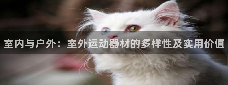 NG大舞台官网下载软件：室内与户外：室外运动器材的多样性及实