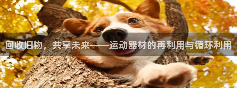 NG大舞台官网下载平台假的吗是真的吗：回收旧物，共享