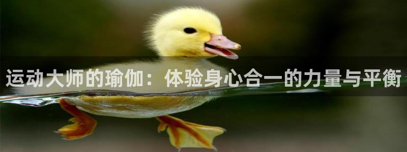 NG大舞台官方正版app娱乐网站：运动大师的瑜伽：体验身心合