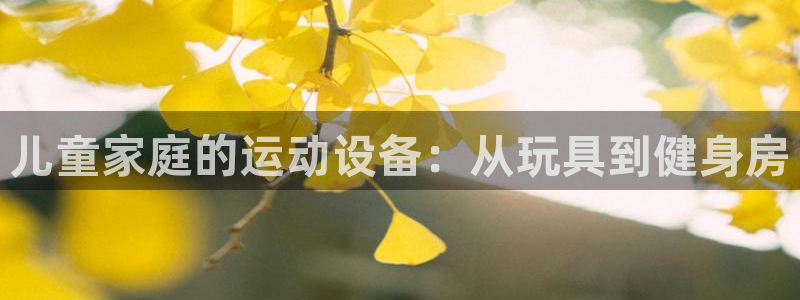 NG大舞台官网下载平台注册要钱吗安全吗：儿童家庭的运动设备：