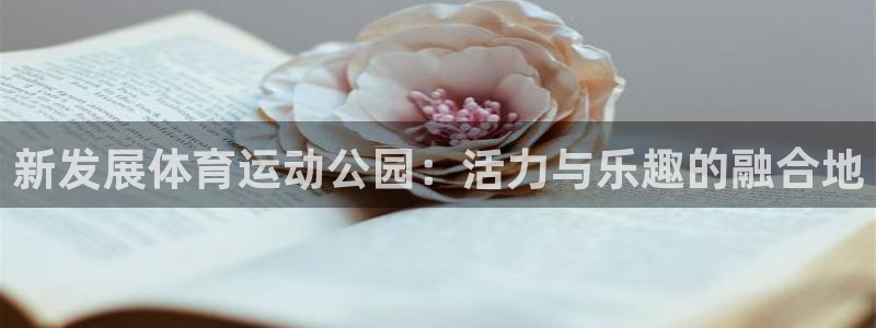 678体育知识