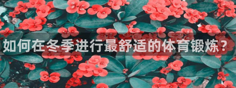 678体育官网下载