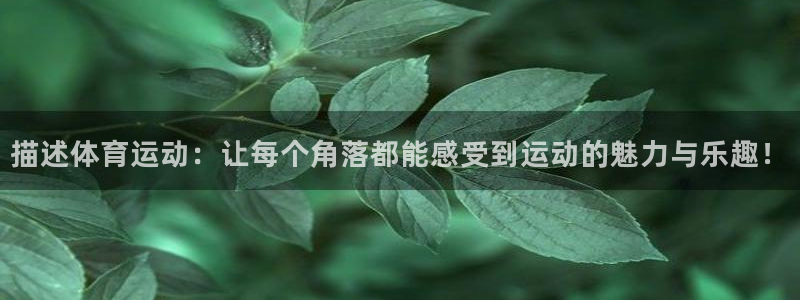 678体育官网地址：描述体育运动：让每个角落都能感受到运动的魅力与乐趣！