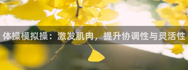 678体育官网地址