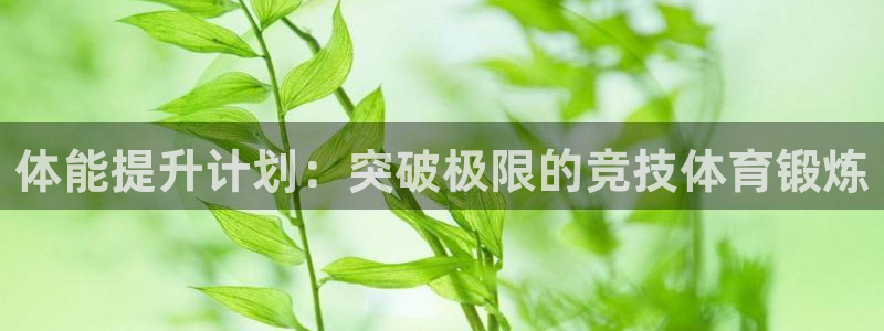 678体育官网下载
