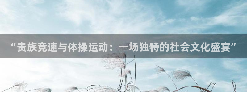 678体育