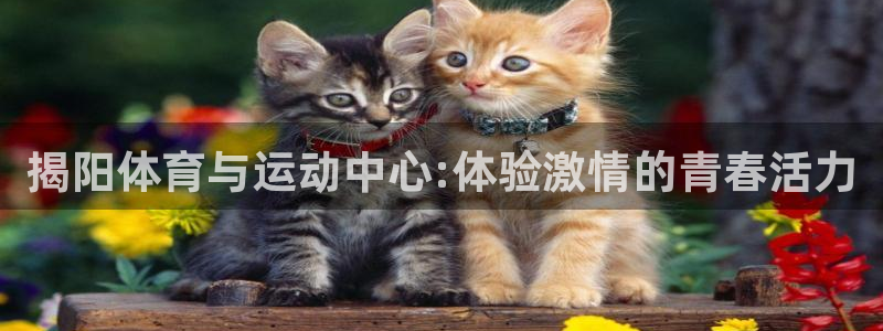 678体育官网：揭阳体育与运动中心:体验激情的青春活力