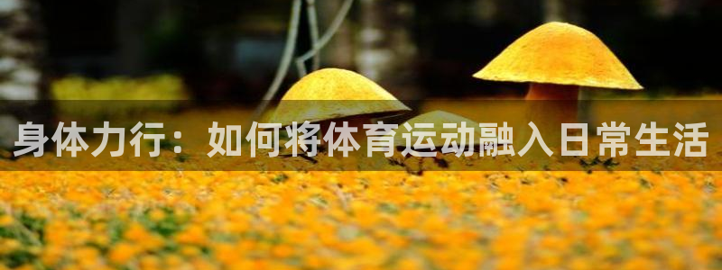 皇冠678体育：身体力行：如何将体育运动融入日常生活